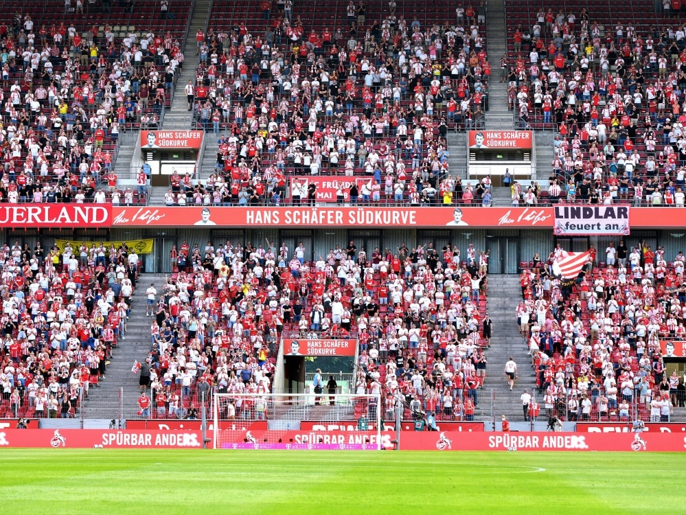 TSG Hoffenheim