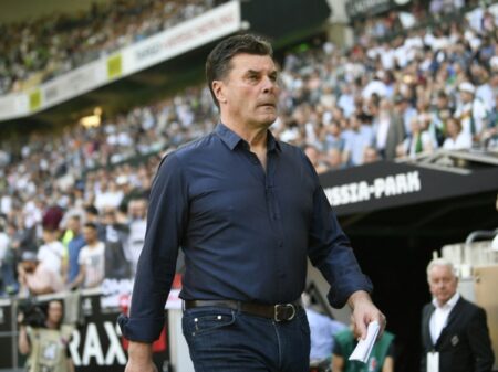 Bild: Dieter Hecking übernimmt Trainer-Position interimsweise (© AFP/SID/INA FASSBENDER)