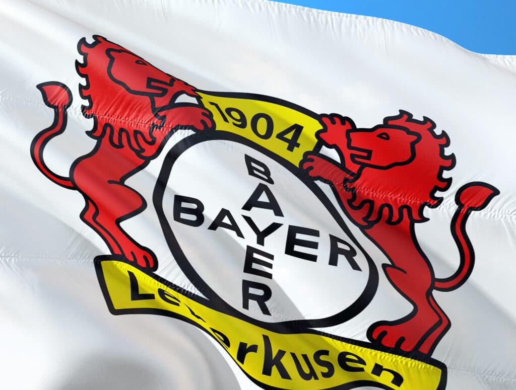 Bayer Leverkusen Flagge