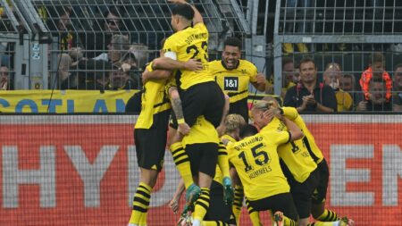 Bild: Die BVB-Spieler jubeln nach dem Tor zum 3:2 (© AFP/SID/INA FASSBENDER)