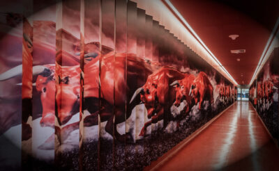 RB Leipzig Tunnel. Archivbild: Dziurek / Shutterstock.com